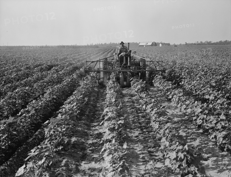 Tractors on Lake Dick project, Arkansas, 1938. Creator: Dorothea Lange.