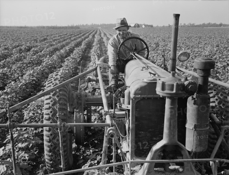 Tractor on Lake Dick project, Arkansas, 1938. Creator: Dorothea Lange.