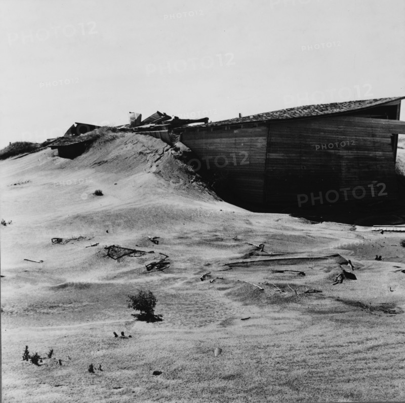 Abandoned farm, Coldwater District, north of Dalhart, Texas, 1938. Creator: Dorothea Lange.