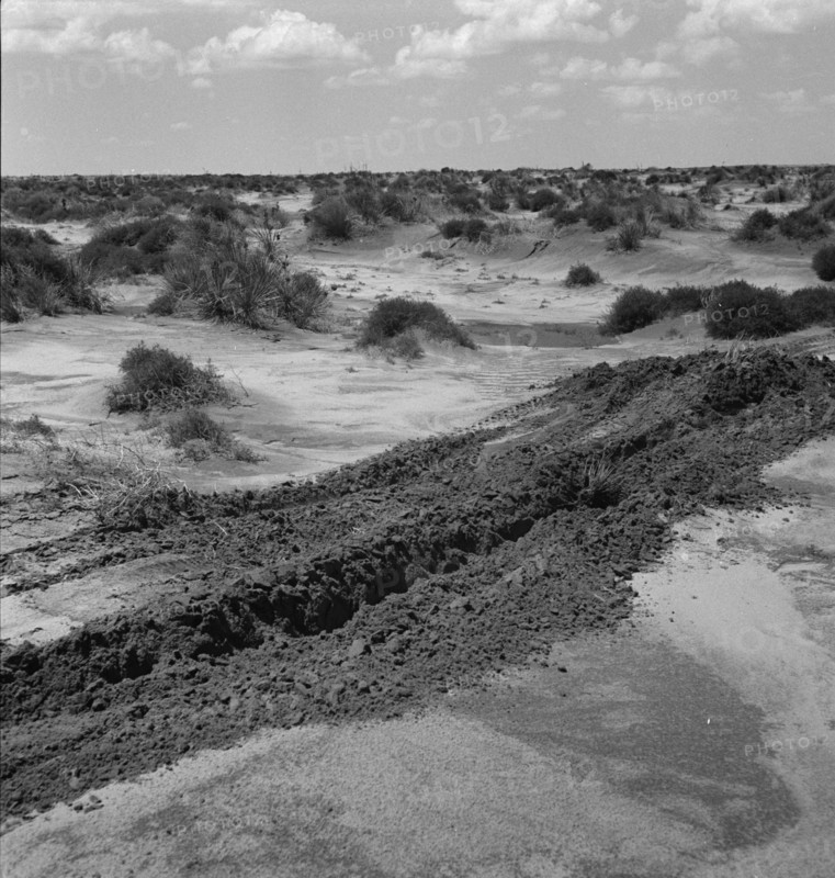 Leveling hummocks in the dust bowl, Coldwater District, 30 miles north of Dalhart, Texas, 1938. Creator: Dorothea Lange.