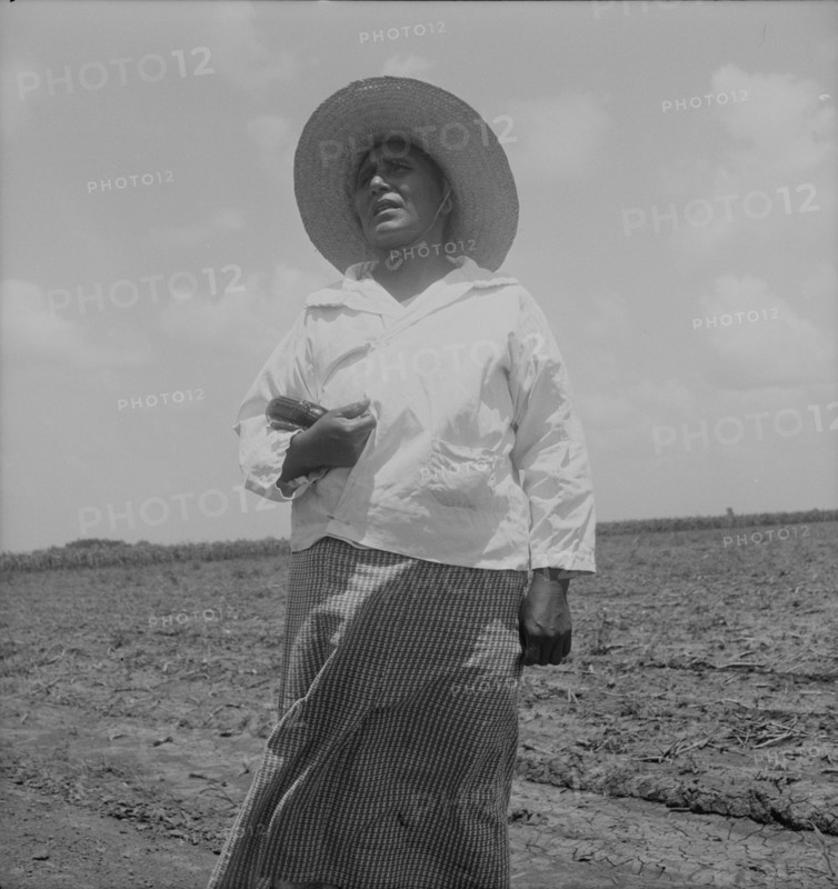 Wife of a Mexican sharecropper near Bryan, Texas, 1938. Creator: Dorothea Lange.