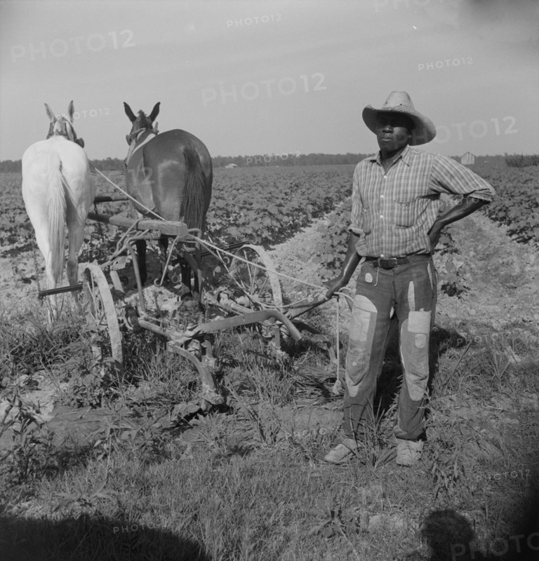 Negro cropper near Lake Dick, Arkansas, 1938. Creator: Dorothea Lange.