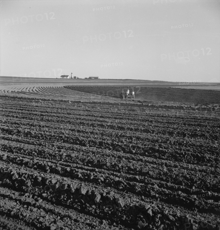Contour plowing on mechanized farms, Childress County, Texas Panhandle, Texas, 1938. Creator: Dorothea Lange.