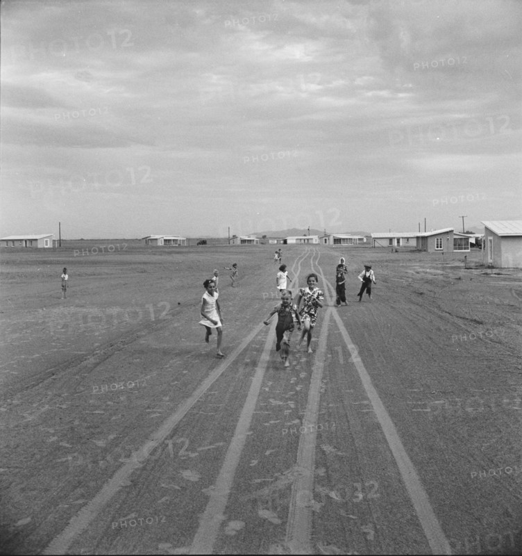 Farm Security Administration Casa Grande project, Arizona, 1938. Creator: Dorothea Lange.