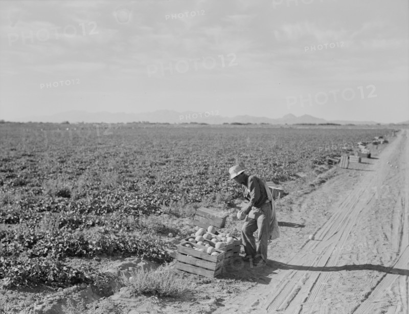 Mexican cantaloupe worker at 5:00 am, Imperial Valley, California, 1938. Creator: Dorothea Lange.