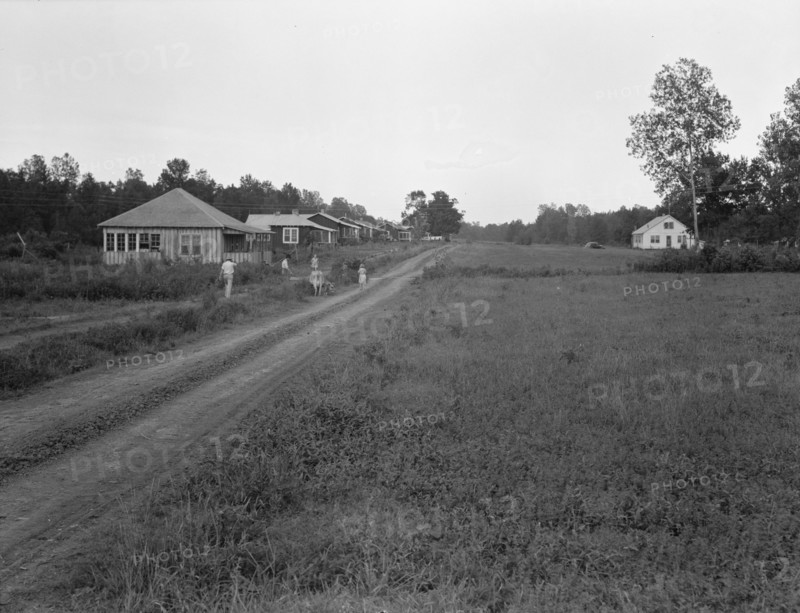 Delta cooperative farms in 1938, Hillhouse, Mississippi, 1938. Creator: Dorothea Lange.