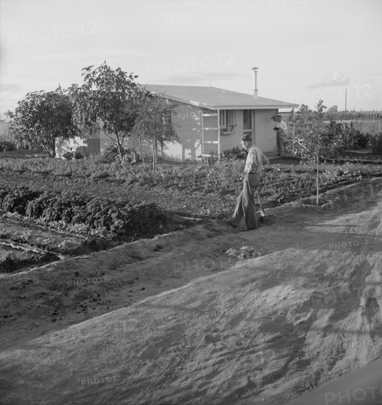 Type house at Garden Homes, Arvin (Kern County), California, 1938. Creator: Dorothea Lange.
