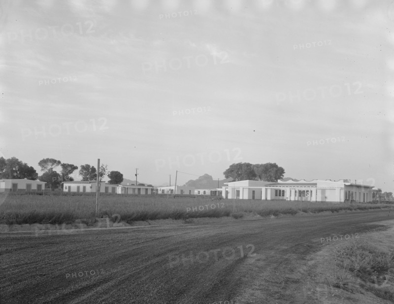 View of Resettlement Administration's part-time farms, Glendale, Arizona, 1937. Creator: Dorothea Lange.