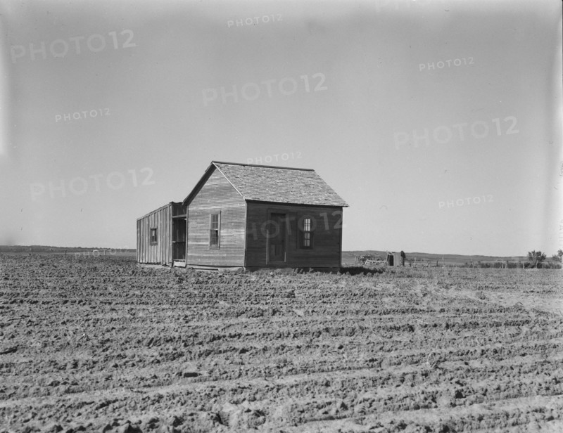 Cultivated fields and abandoned tenant house, Hall County, Texas, 1937. Creator: Dorothea Lange.