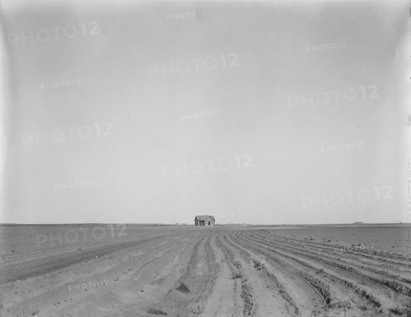 Abandoned tenant house, seen across tractored cotton fields, Childress County, Texas, 1937. Creator: Dorothea Lange.