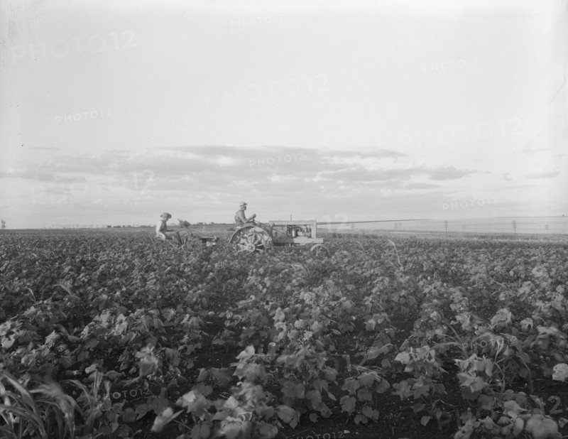 The tractor pulls a riding plow, near Centrae, Texas, 1937. Creator: Dorothea Lange.