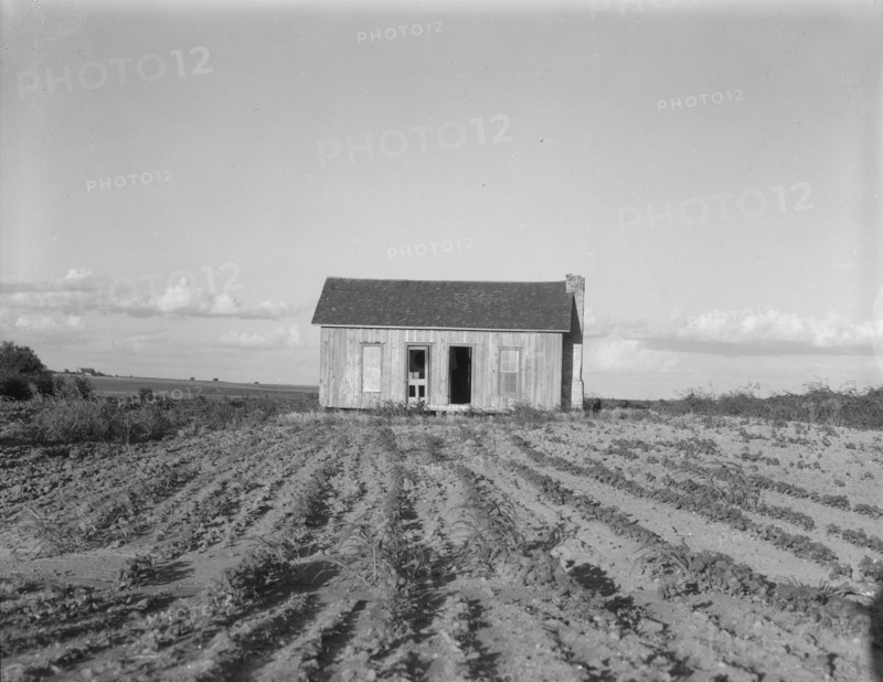 Abandoned tenant house, Childress County, Texas, 1937. Creator: Dorothea Lange.