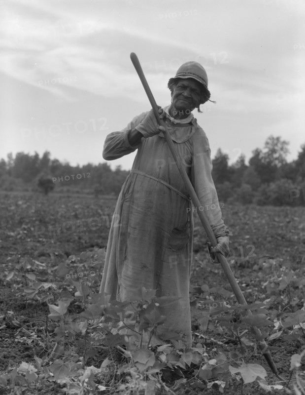 Mississippi Negress hoeing cotton, 1937. Creator: Dorothea Lange.