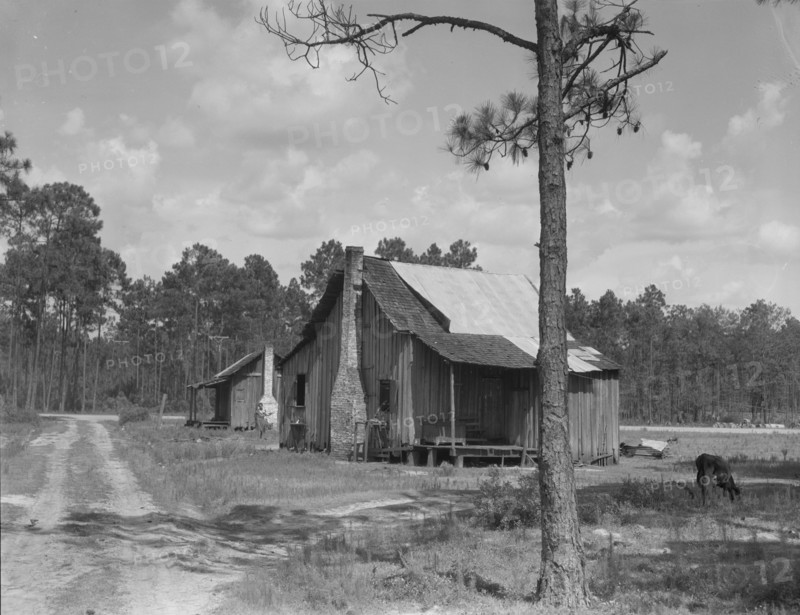 Turpentine worker's cabins, Valdosta, Georgia, 1937. Creator: Dorothea Lange.