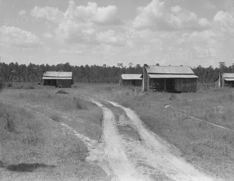 Turpentine worker's cabins, Valdosta, Georgia, 1937. Creator: Dorothea Lange.