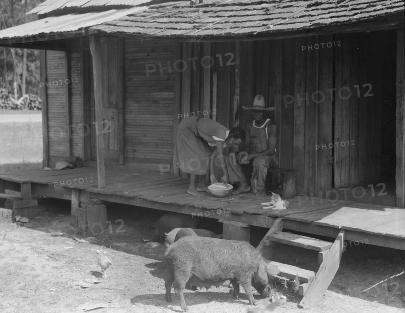 Turpentine worker's home, Georgia, 1937. Creator: Dorothea Lange.
