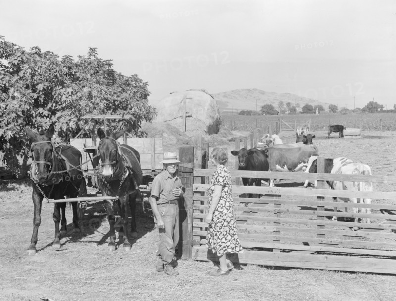 Rural rehabilitation, Tulare County, California, 1938. Creator: Dorothea Lange.