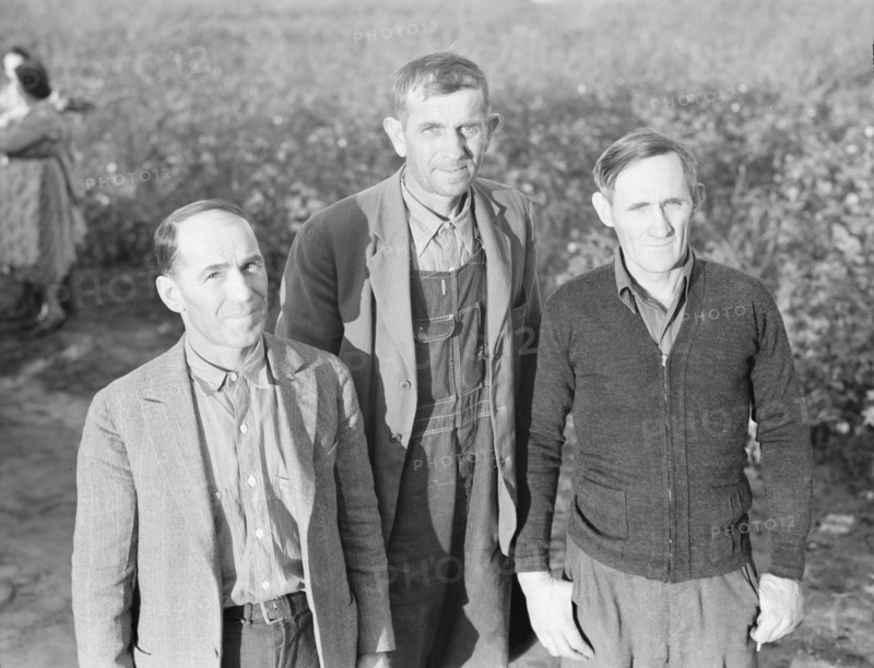 Board of directors of the Mineral King Farm Association, Tulare County, California, 1938. Creator: Dorothea Lange.
