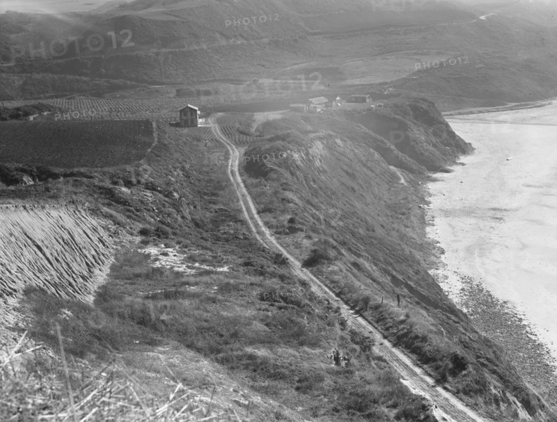 Artichoke farms reach to the water's edge, near Half Moon Bay, California coast , 1938. Creator: Dorothea Lange.