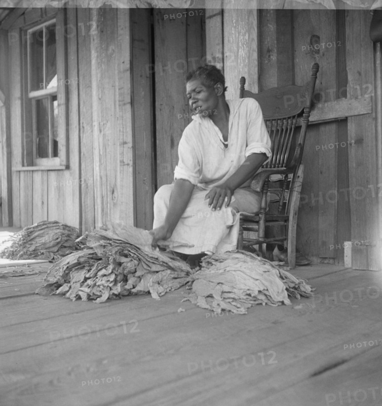 Near Douglas, Georgia. Sharecroppers grade the cured leaves, 1938. Creator: Dorothea Lange.