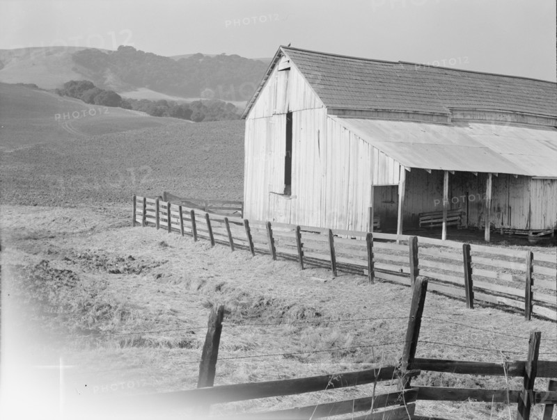 Cowbarn and hills, California dairy ranch, Contra Costa County, California, 1938. Creator: Dorothea Lange.
