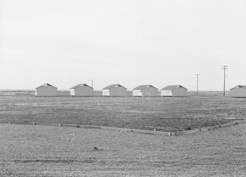 United States government camp for migratory workers (FSA), Westley, California, 1938. Creator: Dorothea Lange.