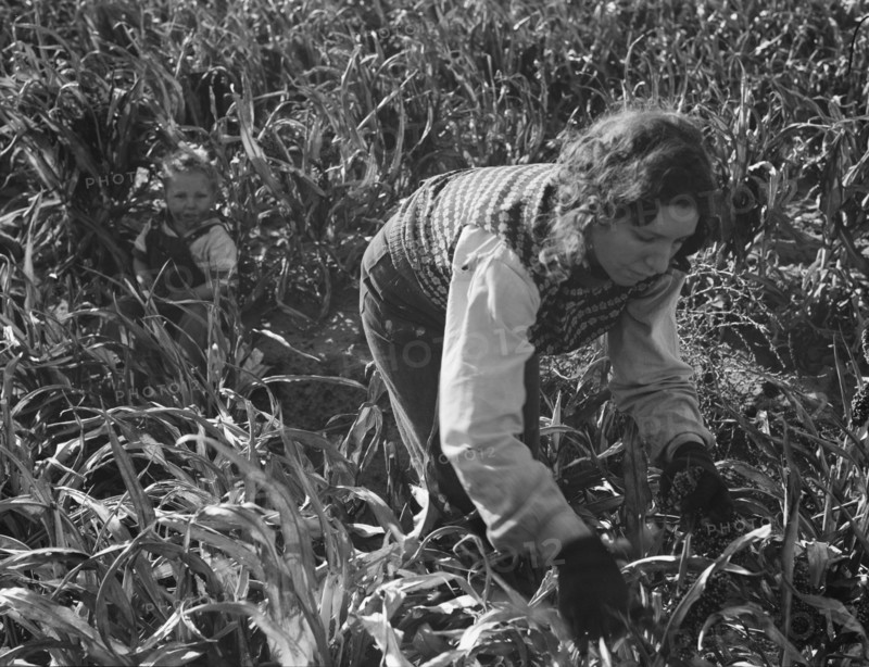 Formerly rehabilitation clients now operating own farm, near Manteca, California, 1938. Creator: Dorothea Lange.