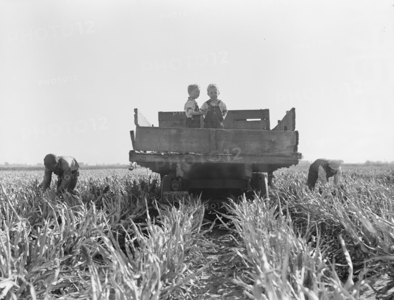 Formerly rehabilitation clients now operating own farm, near Manteca, California, 1938. Creator: Dorothea Lange.