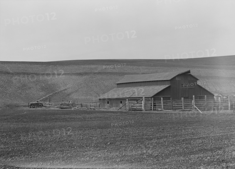 Small dairy farm near Santa Maria, California, 1939. Creator: Dorothea Lange.