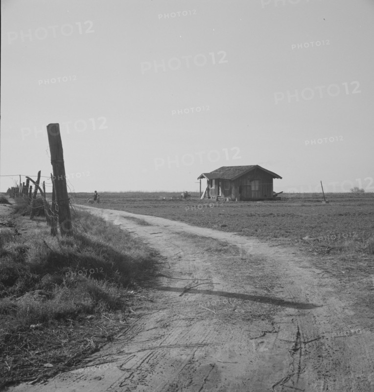 On the plains west of Fresno, California, 1939. Creator: Dorothea Lange.
