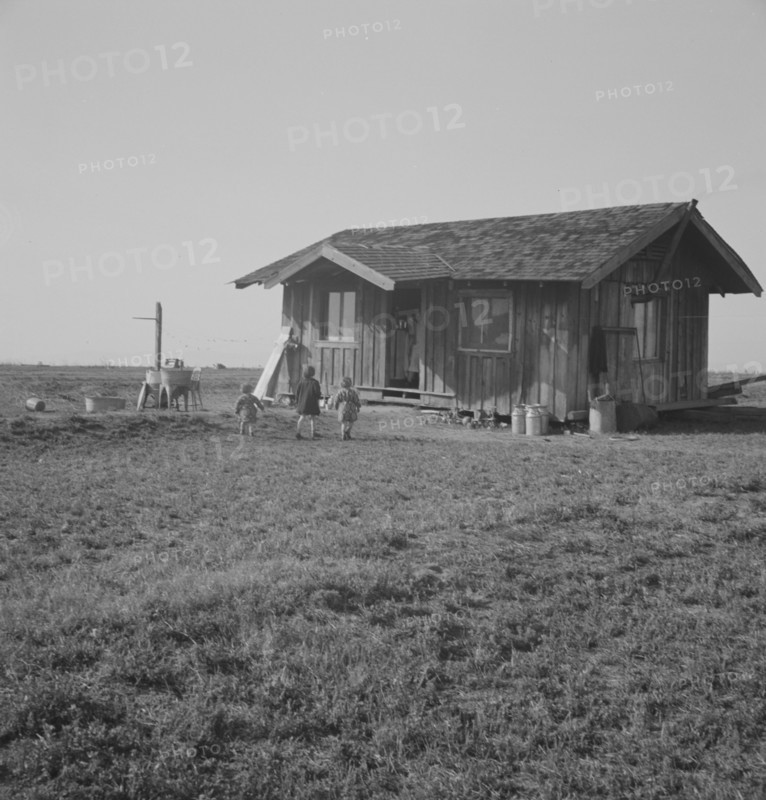 On the plains west of Fresno, California , 1939. Creator: Dorothea Lange.