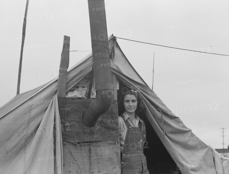 From Wyoming and Missouri eight years...working in lemons..., near Strathmore, CA, 1939. Creator: Dorothea Lange.