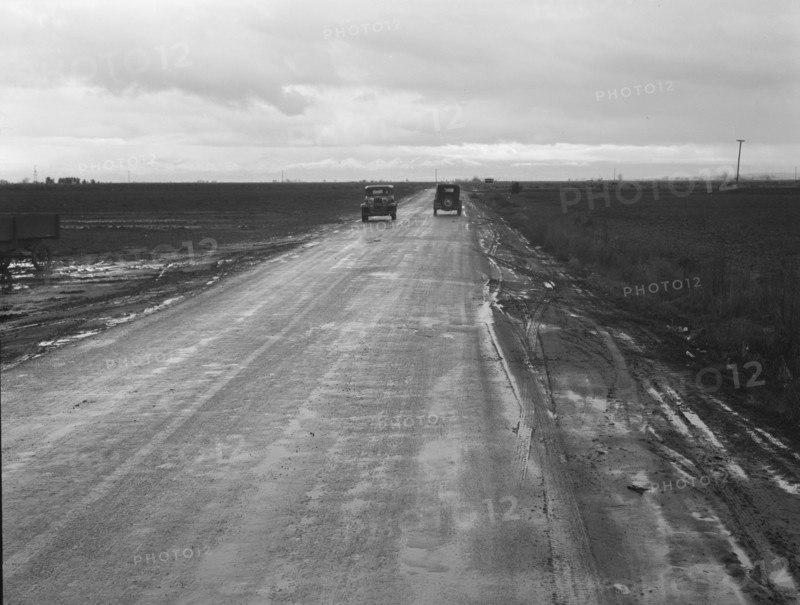County road between potato fields, Kern County, California, 1939. Creator: Dorothea Lange.