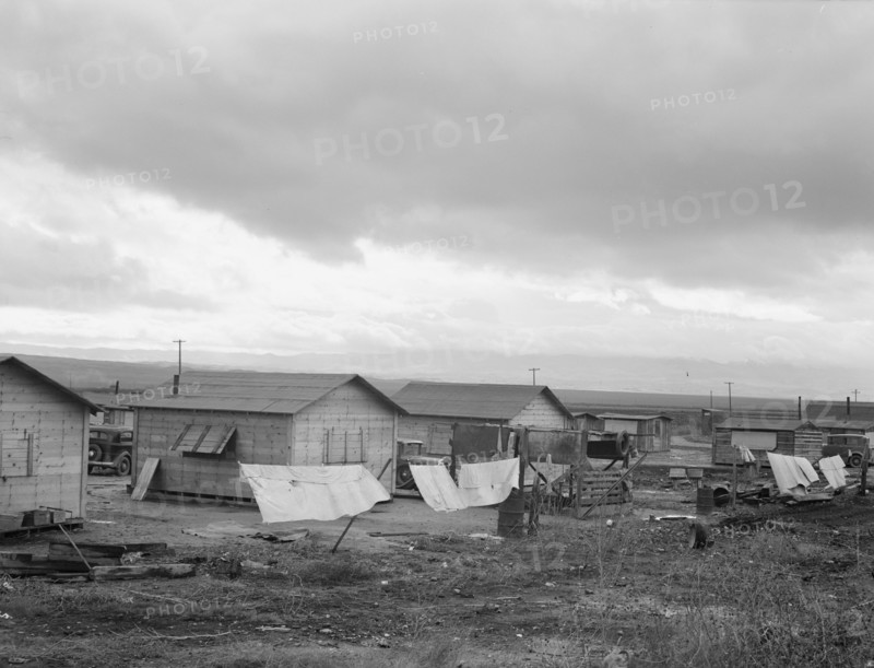 Company cotton pickers' camp after picking season, Buttonwillow, California , 1939. Creator: Dorothea Lange.