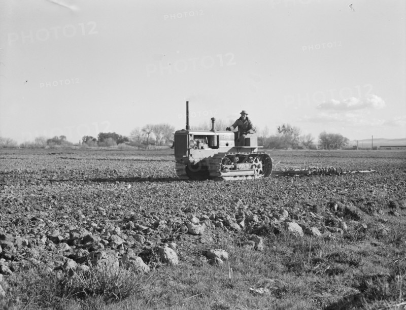 Cultivating potato field, California, 1939. Creator: Dorothea Lange.