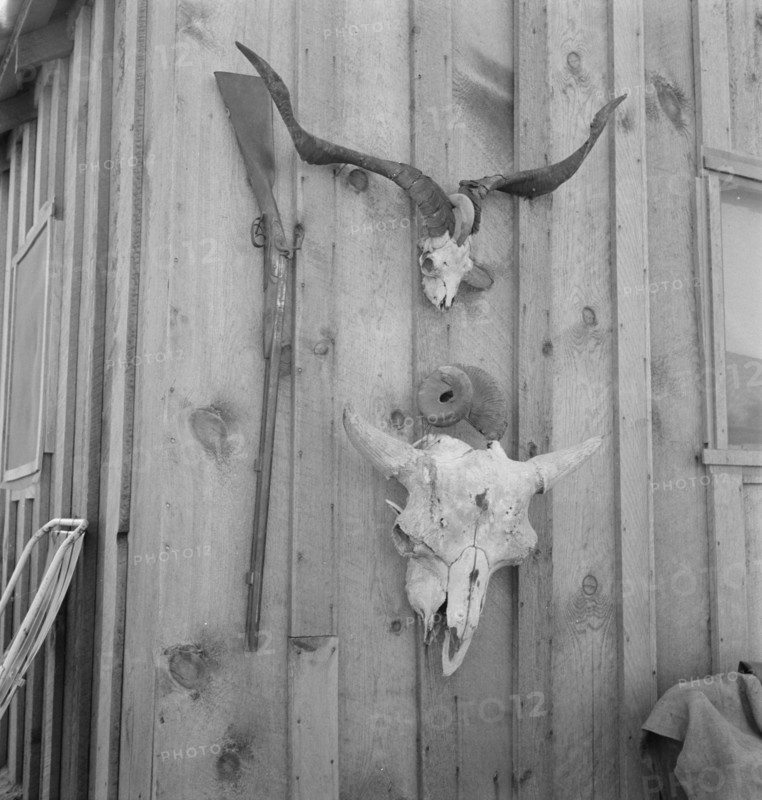 Side of Cates' new house, Malheur County, Oregon, 1939. Creator: Dorothea Lange.