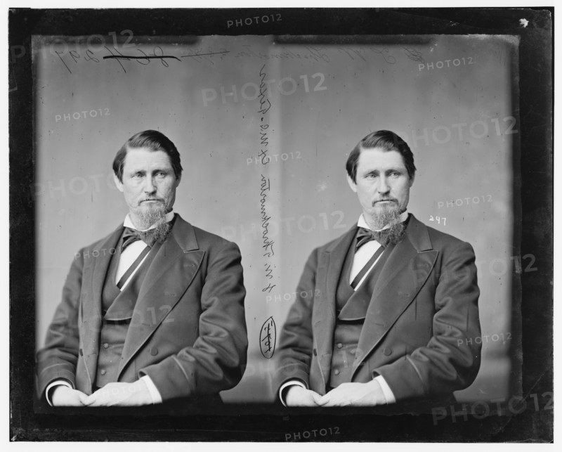 James Webb Throckmorton of Texas, 1865-1880.  Creator: Unknown.