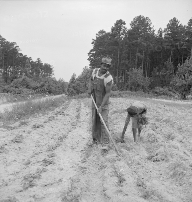 Thirteen year old daughter of Negro sharecropper..., Olive Hill, North Carolina, 1939. Creator: Dorothea Lange.