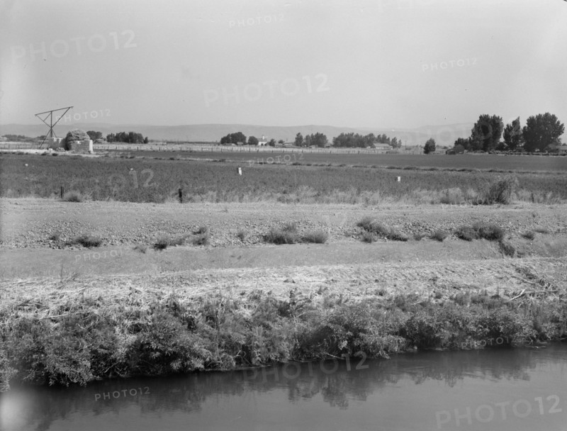 Washington, Yakima Valley, near Wapato, 1939. Creator: Dorothea Lange.