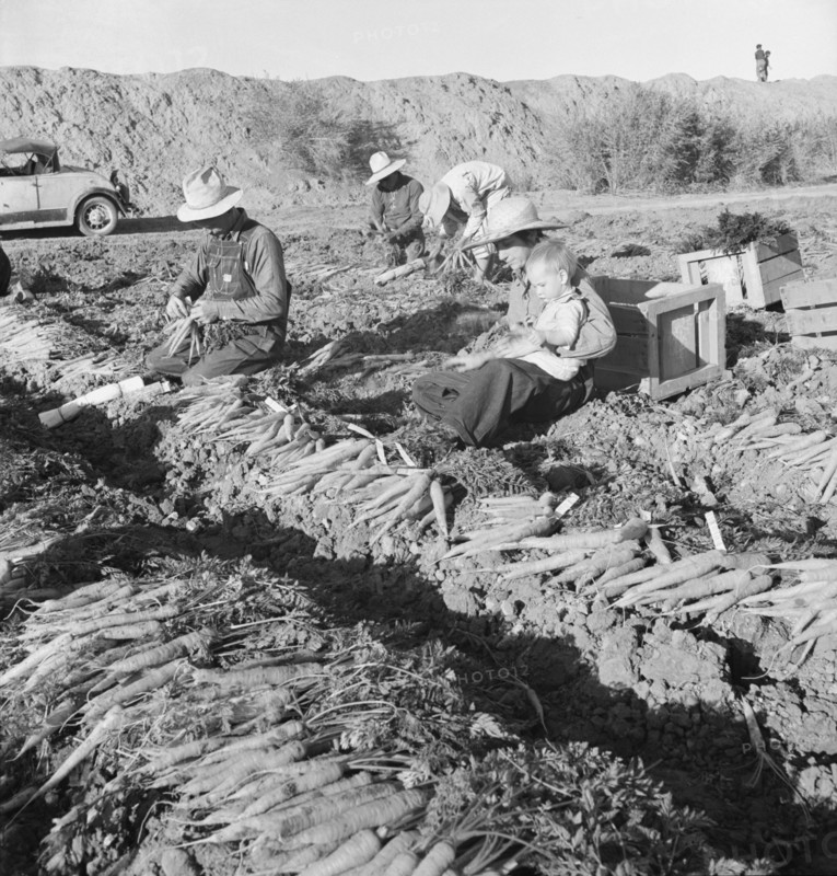 Large scale agriculture, near Meloland, Imperial Valley, 1939. Creator: Dorothea Lange.