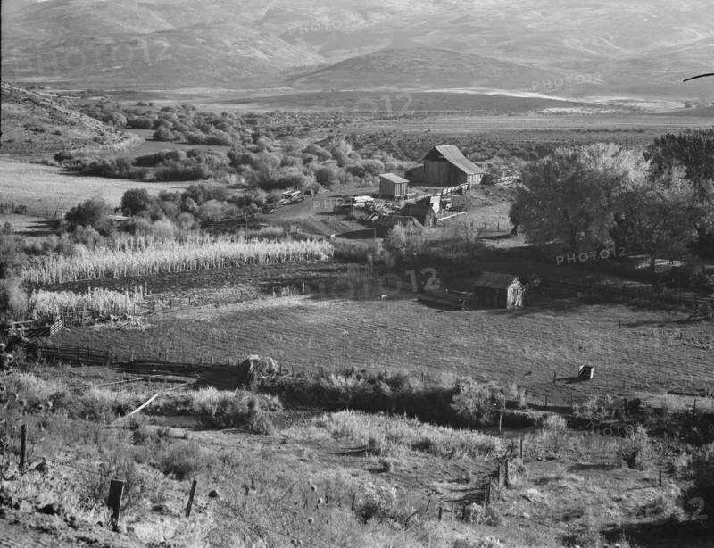 Squaw Valley farm, Gem County, Idaho, 1939. Creator: Dorothea Lange.