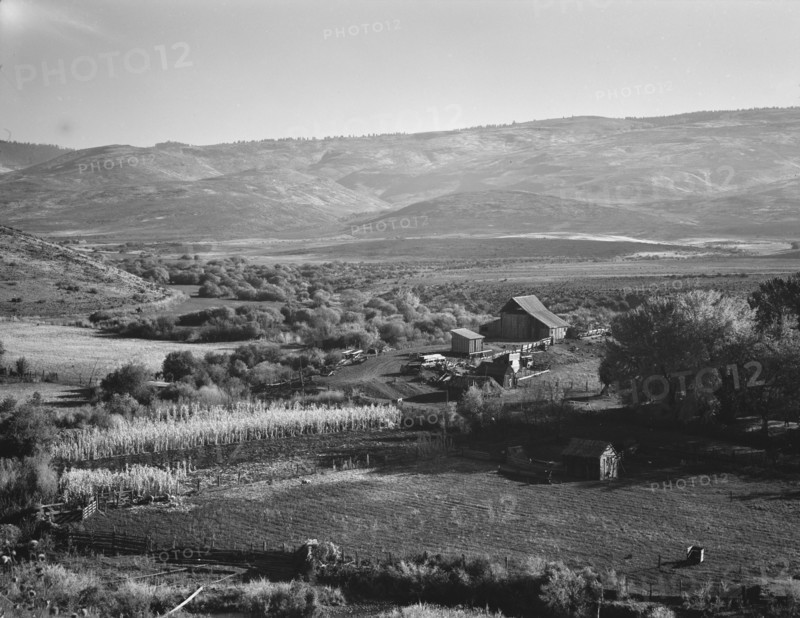 Squaw Valley farm, Gem County, Idaho, 1939. Creator: Dorothea Lange.