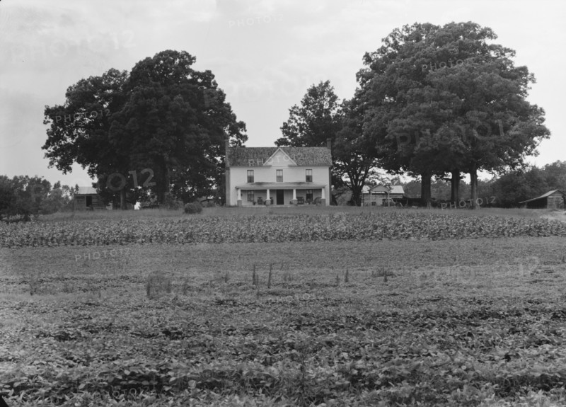 Prosperous farmer's house and farm landscape seen from the road, near Colbreth, North Carolina, 1939 Creator: Dorothea Lange.
