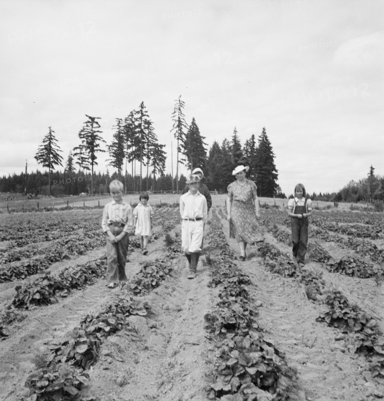 Possibly: The Arnold children and mother on their newly...Michigan Hill, Thurston County, 1939. Creator: Dorothea Lange.