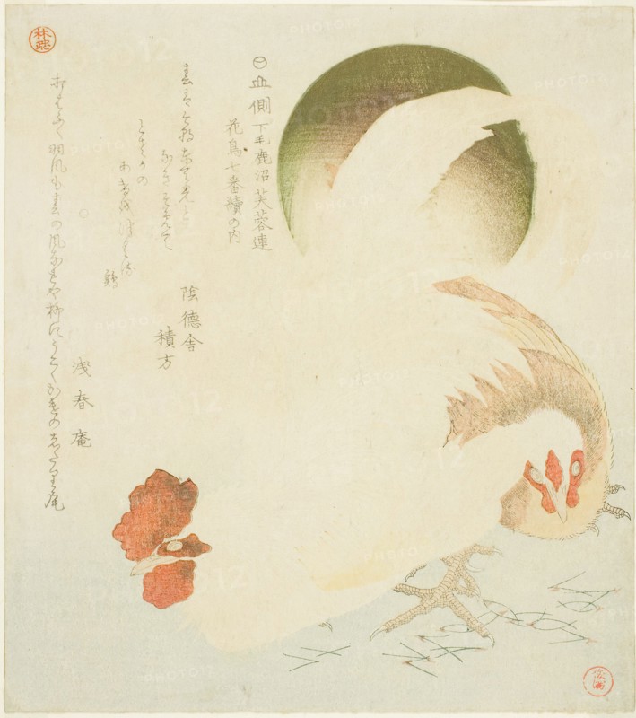 Cock, Hen, and Rising Sun, from the series "Seven Bird-and-flower Prints for the Fuyo..., c. 1810. Creator: Kubo Shunman.