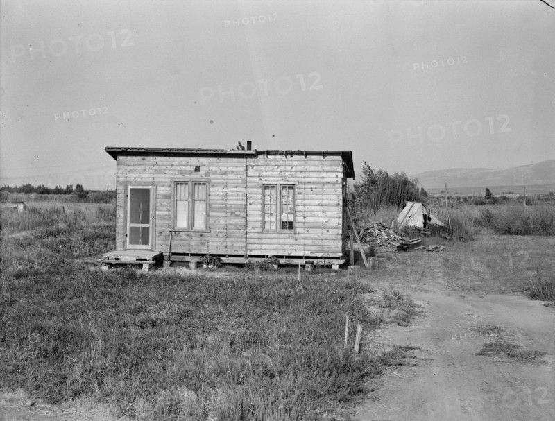 Possibly: Yakima,Washington, 1939. Creator: Dorothea Lange.