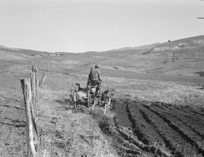 Young Idaho farmer plowing...Ola self-help sawmill co-op..., Gem County, Idaho, 1939. Creator: Dorothea Lange.