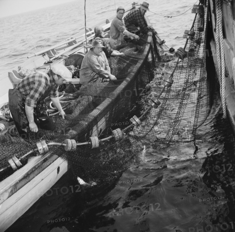 Possibly: Gloucester fishermen pulling in their nets to bring..., Gloucester, Massachusetts, 1943. Creator: Gordon Parks.