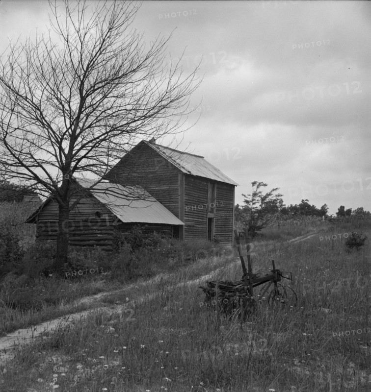 Hillside Farm road leading from sharecropper's house..., Person County, North Carolina, 1939. Creator: Dorothea Lange.