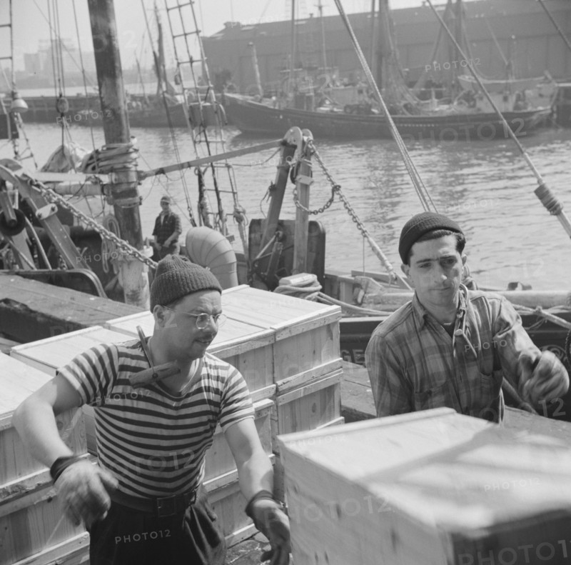 Possibly:  Loaders placing fish that has been taken from boats, boxed, and iced..., New York, 1943. Creator: Gordon Parks.